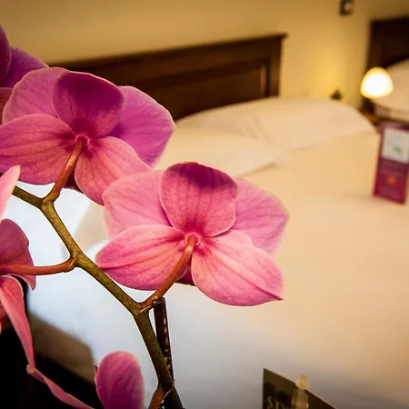 Residenza Petra Hotel