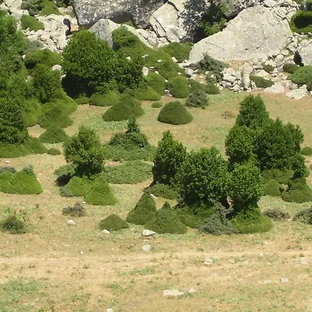 فندق Residenza Petra بيتراليا سوبرانا