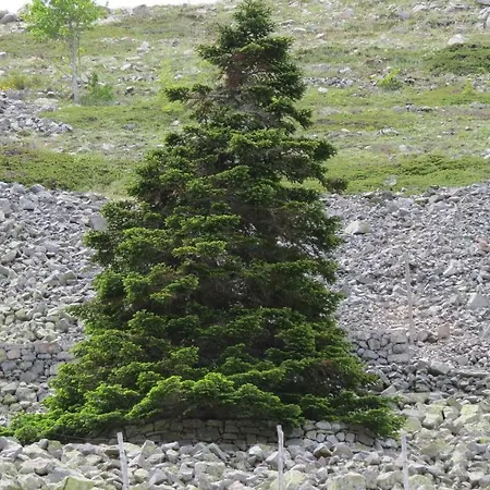 Residenza Petra بيتراليا سوبرانا
