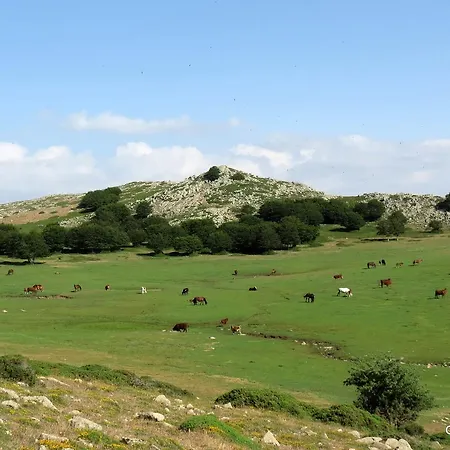 Residenza Petra بيتراليا سوبرانا