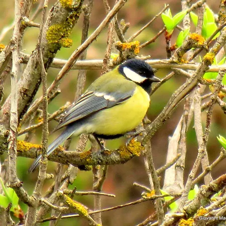 Residenza Petra فندق بيتراليا سوبرانا