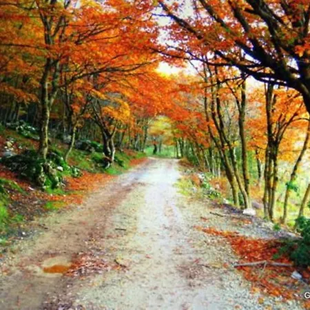 Residenza Petra 3* بيتراليا سوبرانا