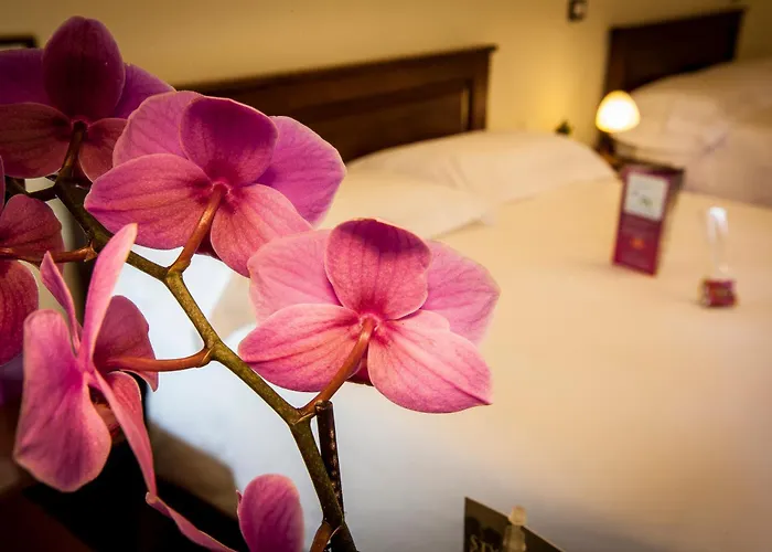 Residenza Petra Hotel