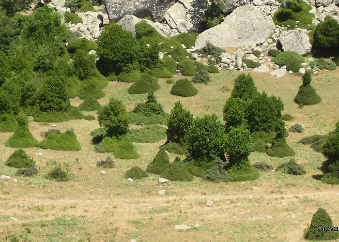 Hotel Residenza Petra Petralia Soprana