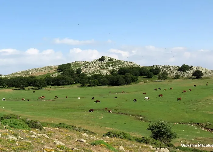 Residenza Petra Petralia Soprana